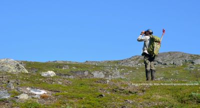  PHOTO: Jonas Lembrechts