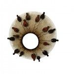 Logo-NUNAMED-2016-150x150