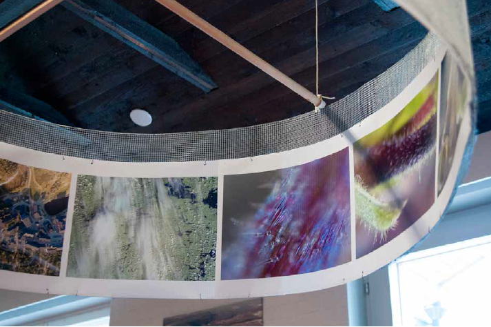 Communicating Arctic Research, Project "Beyond"