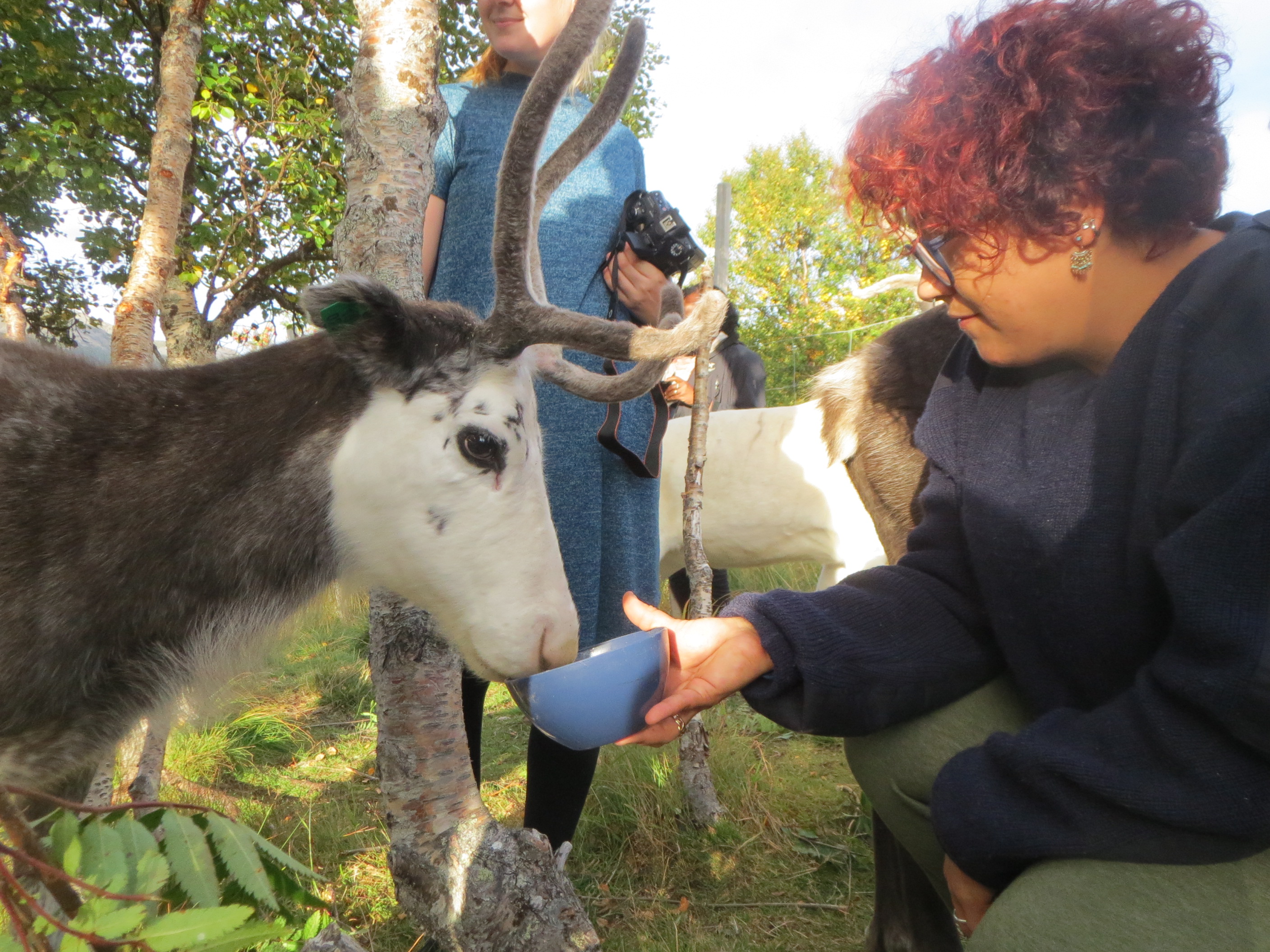 MIS field school 2017