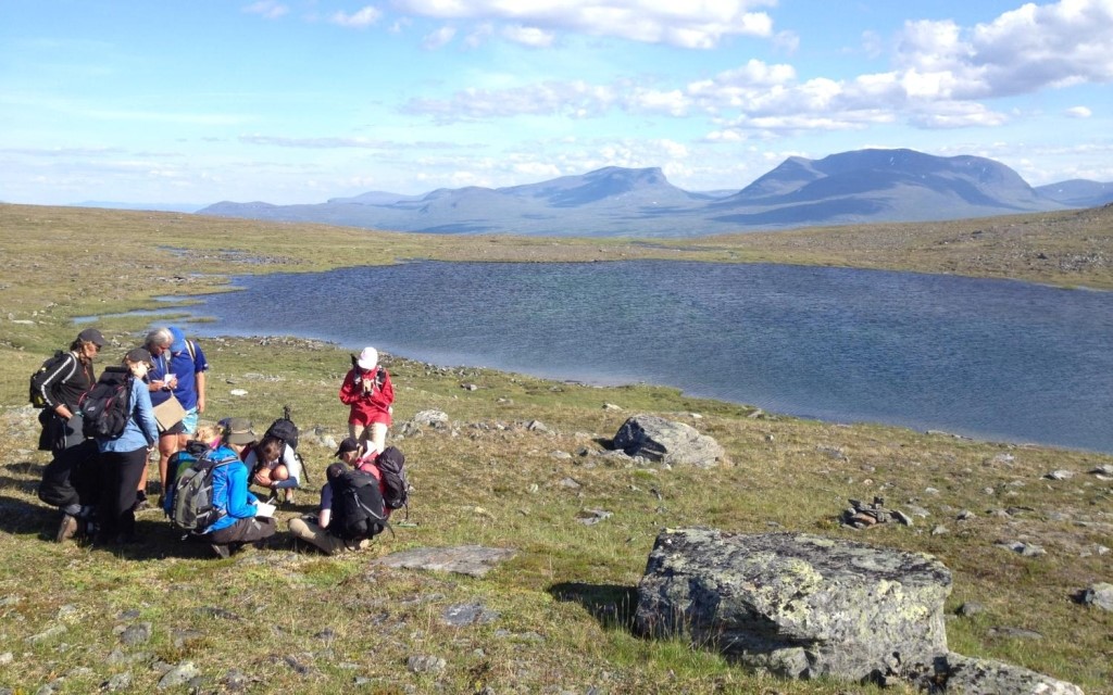 A year in the Arctic.jpg