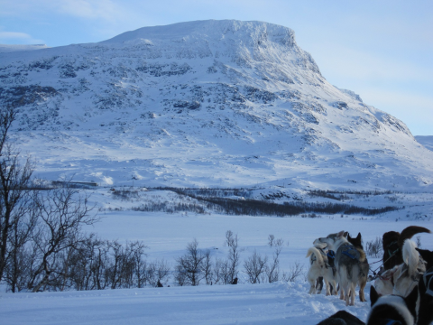 One health conference Oulu.png