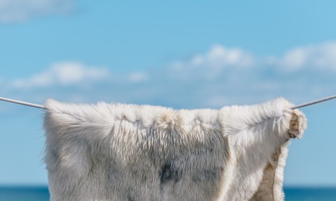 Twenty20 926A9466 B8ed 42D0 91E4 72C8a90d3d6f