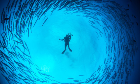 Barracuda Tornado T20 Ggx7vo