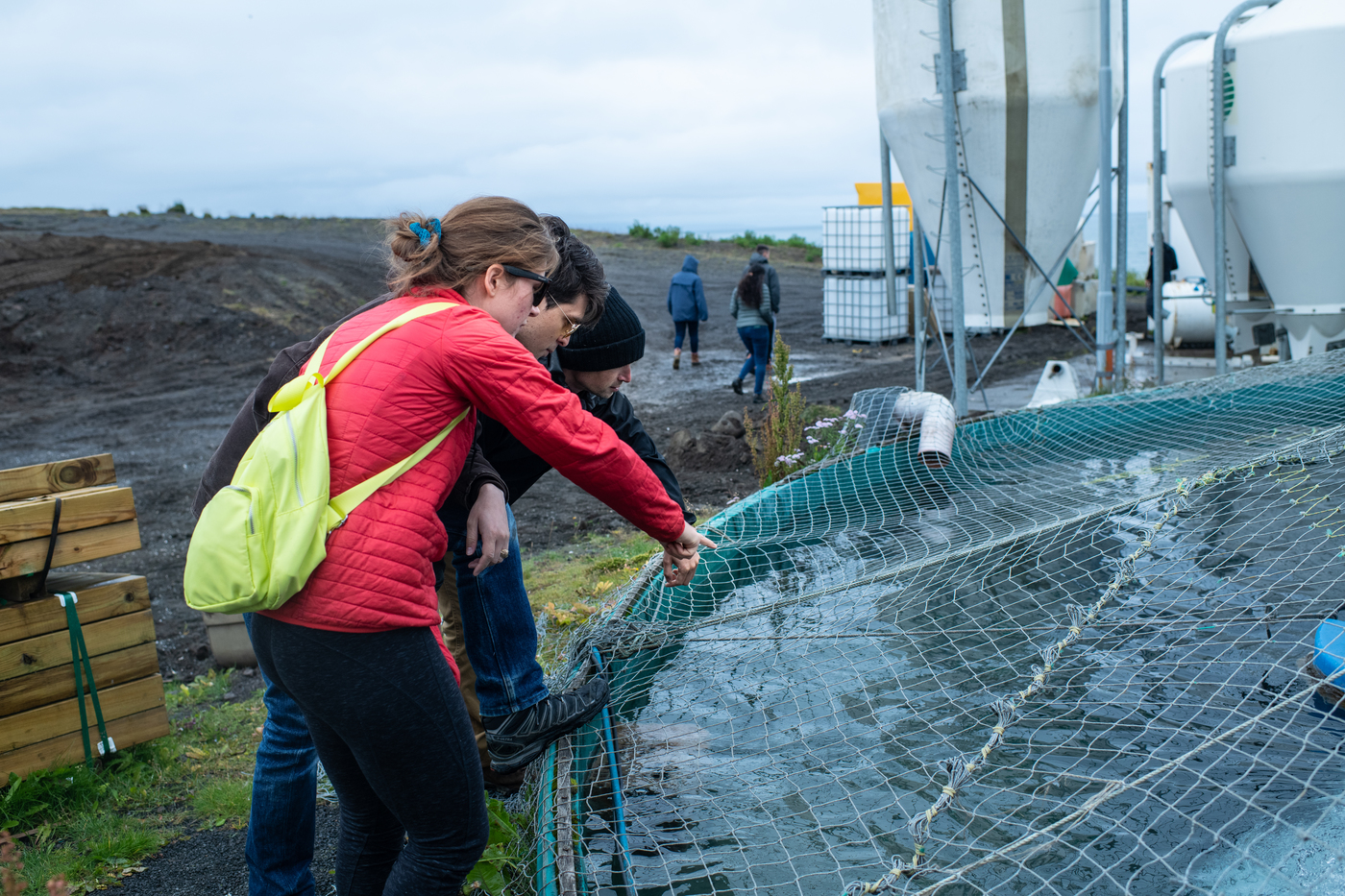 UNE NORTH Professional Science Master's students explore an Arctic char farm in Iceland