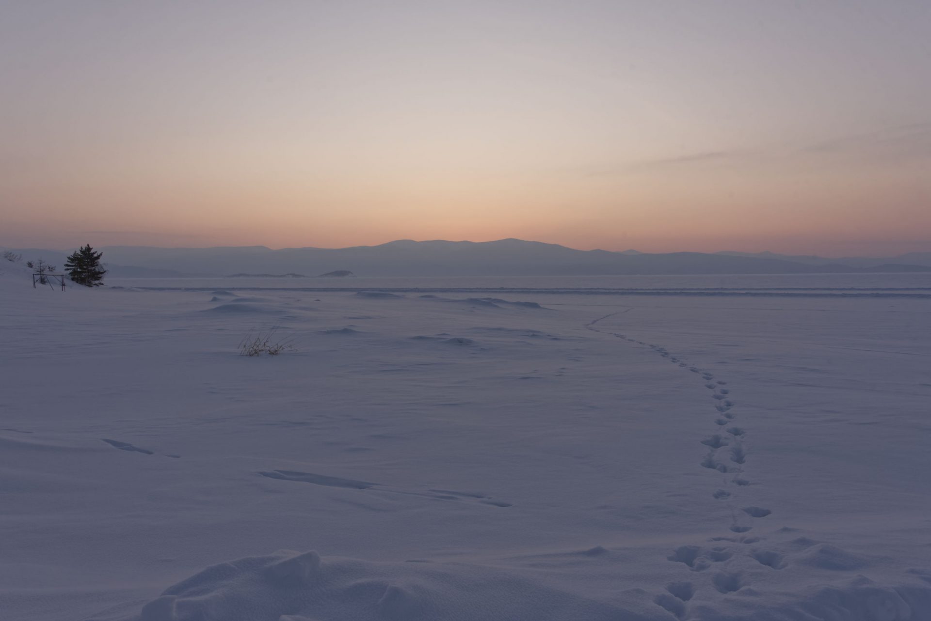 Public consultation on co-creating research projects