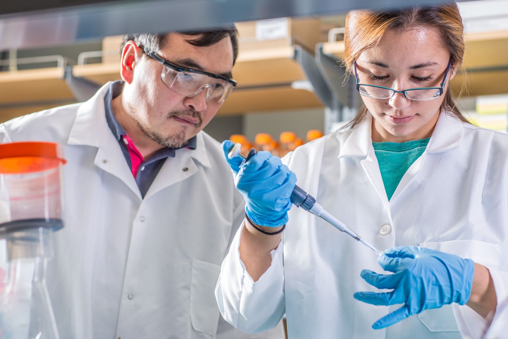 University of Alaska Fairbanks Profile 4