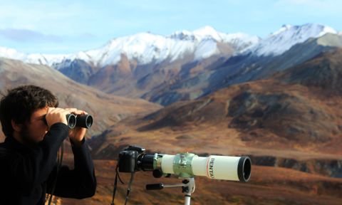 Denali National Park and Preserve, Alaska