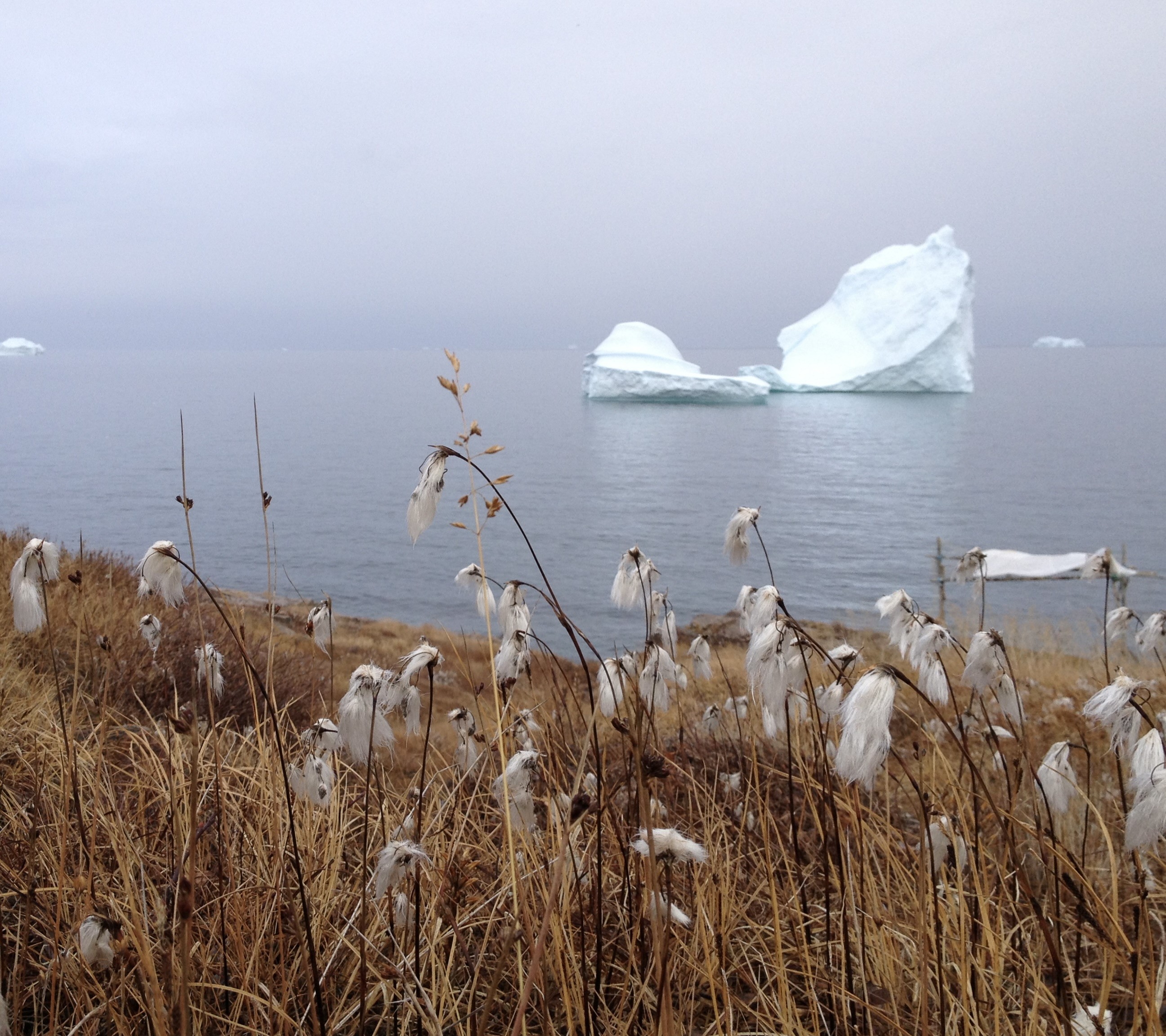 Finn Danielsen Statement News
