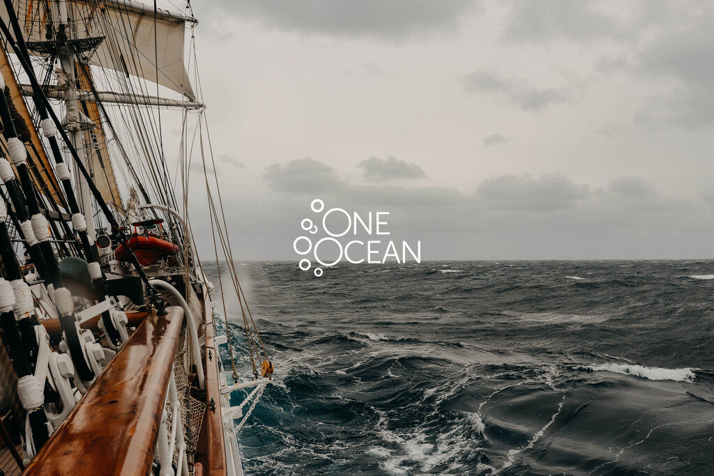 One Ocean
