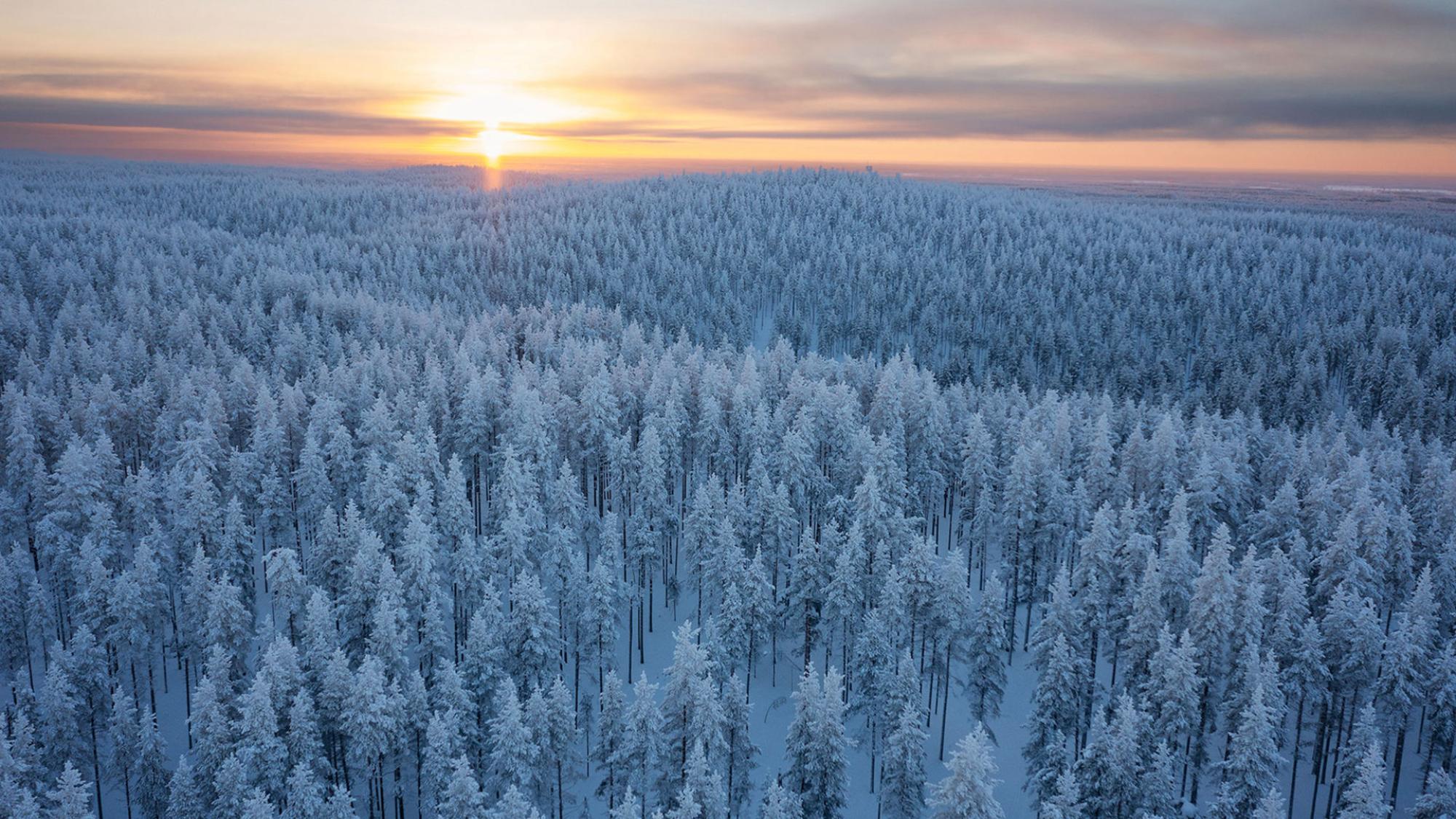 Unioulubrand DJI 0935 01 2024 (1)