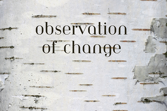 Observation Of Change Web